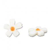 Shell beads flower White (natural colour)-Orange