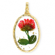 Charms with dried flowers oval Gold-Red-Green