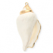 Shell pendants specials whelk White-Gold